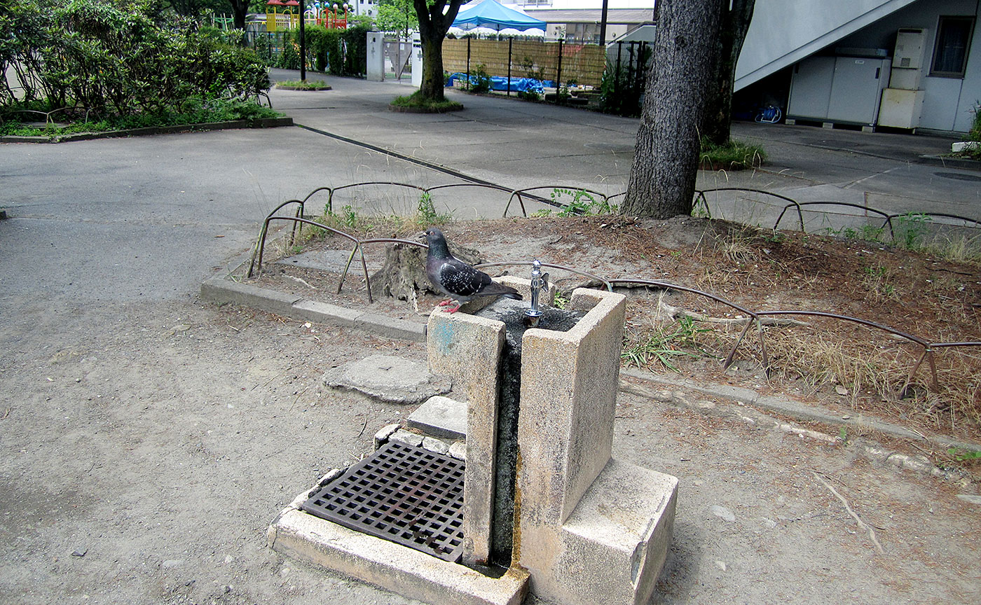 永山南公園