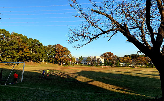 諏訪南公園