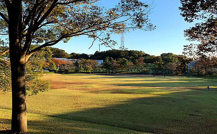 諏訪南公園