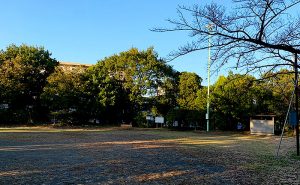 新宿区公園探訪