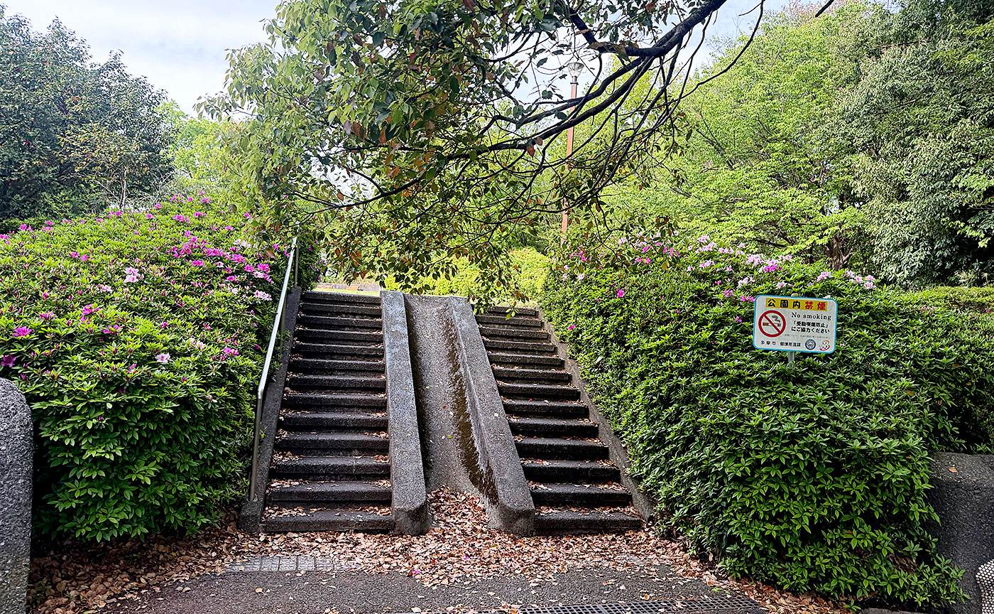 どんぐり山公園
