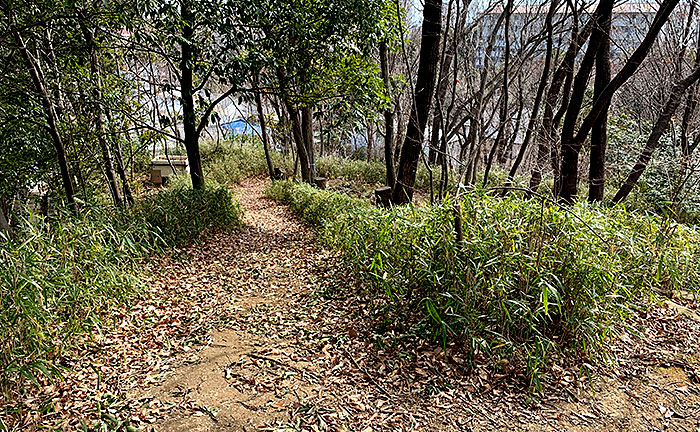 どんぐり山公園