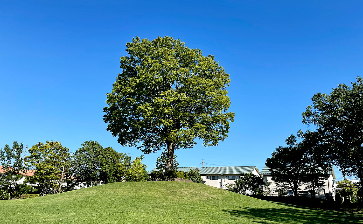 永山第四公園