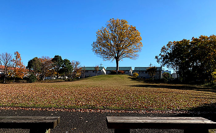 永山第四公園