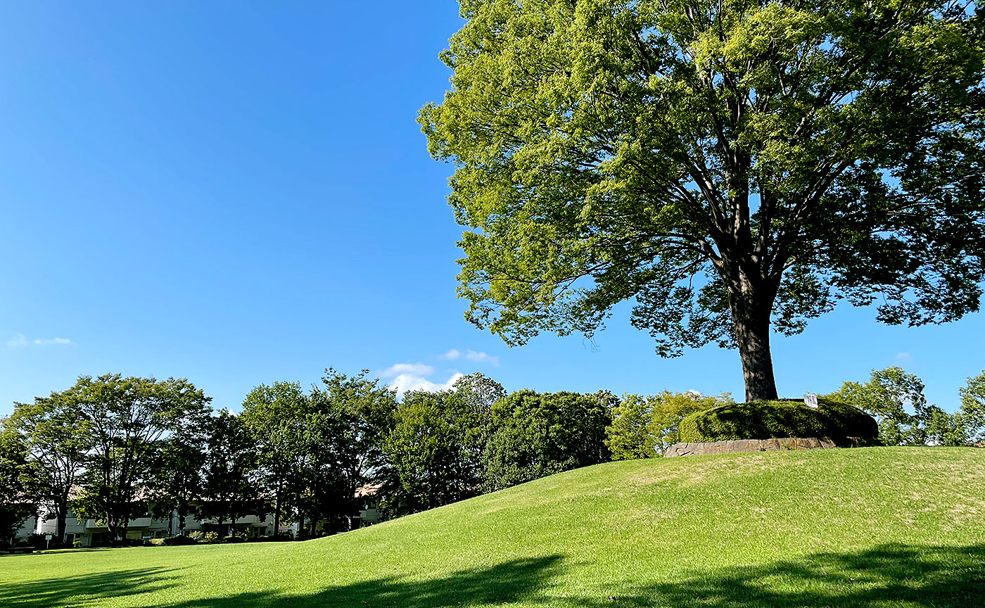 永山第四公園