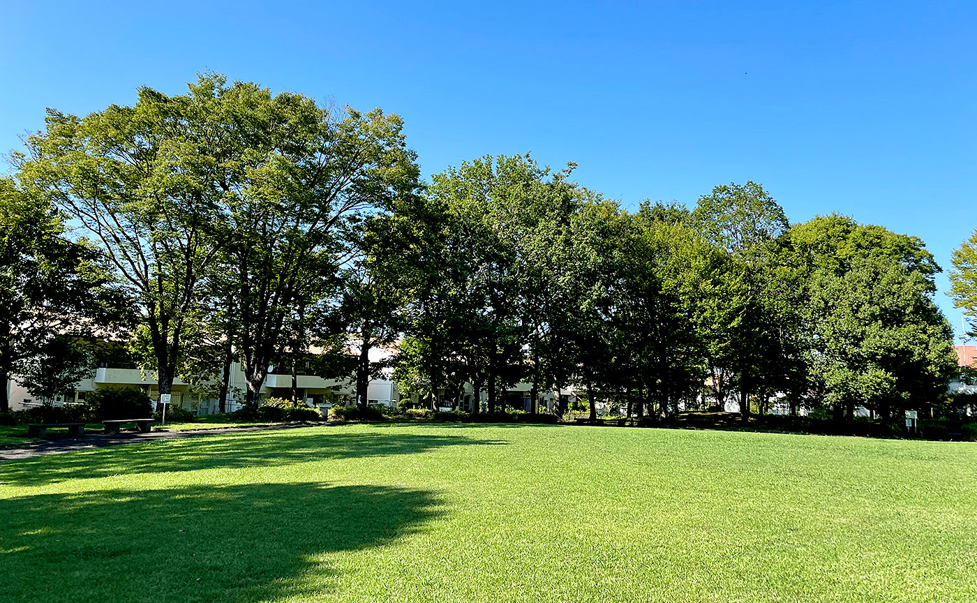 永山第四公園