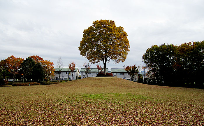 永山第四公園