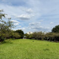 多摩市の公園