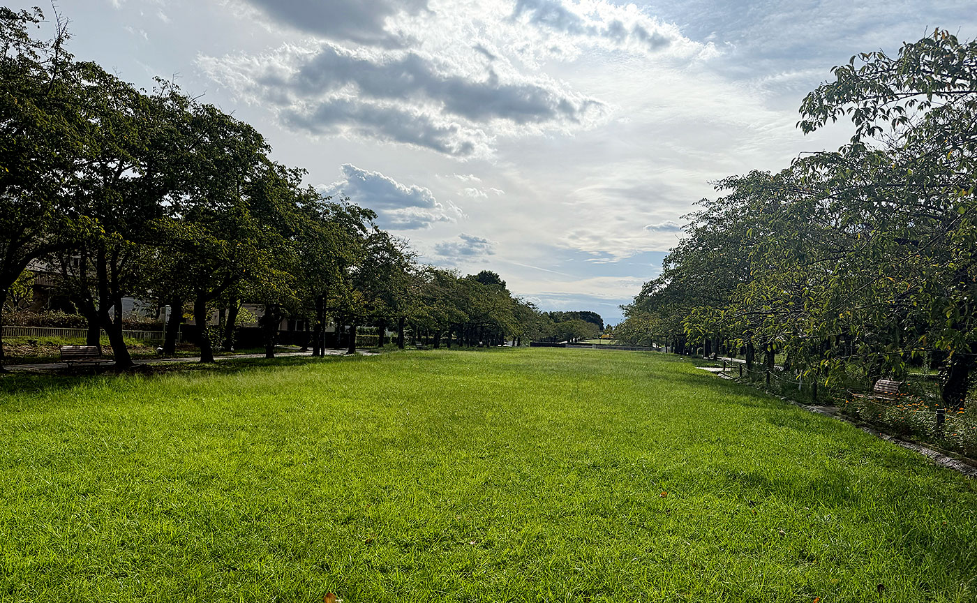宝野公園