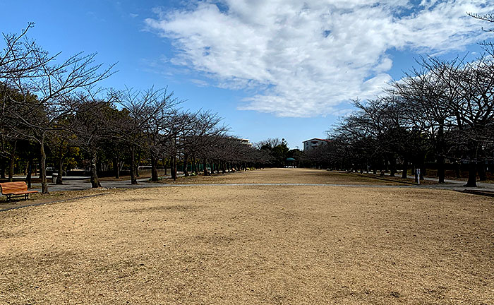 宝野公園