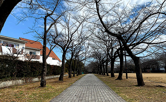 宝野公園