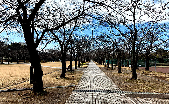 宝野公園