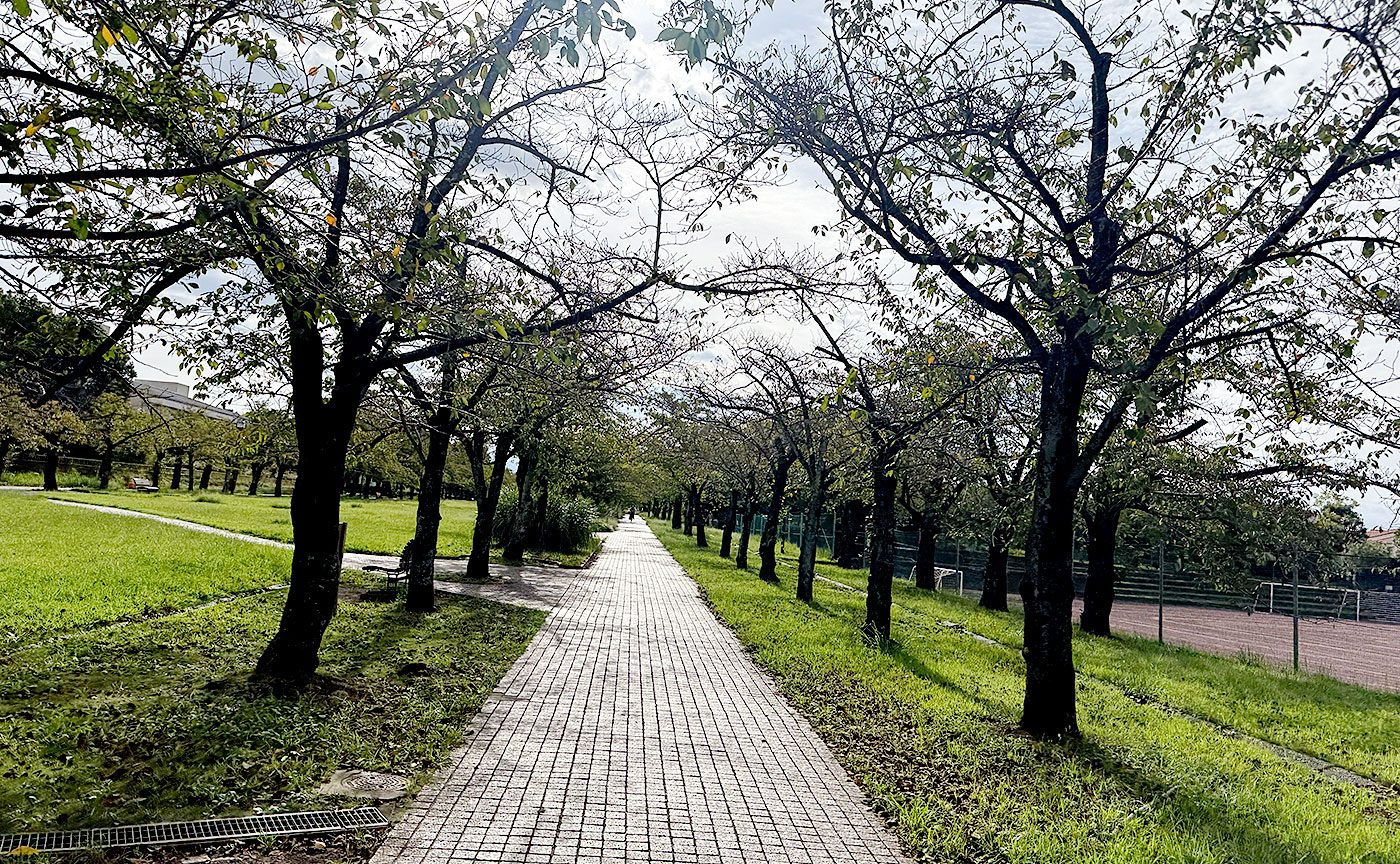 宝野公園