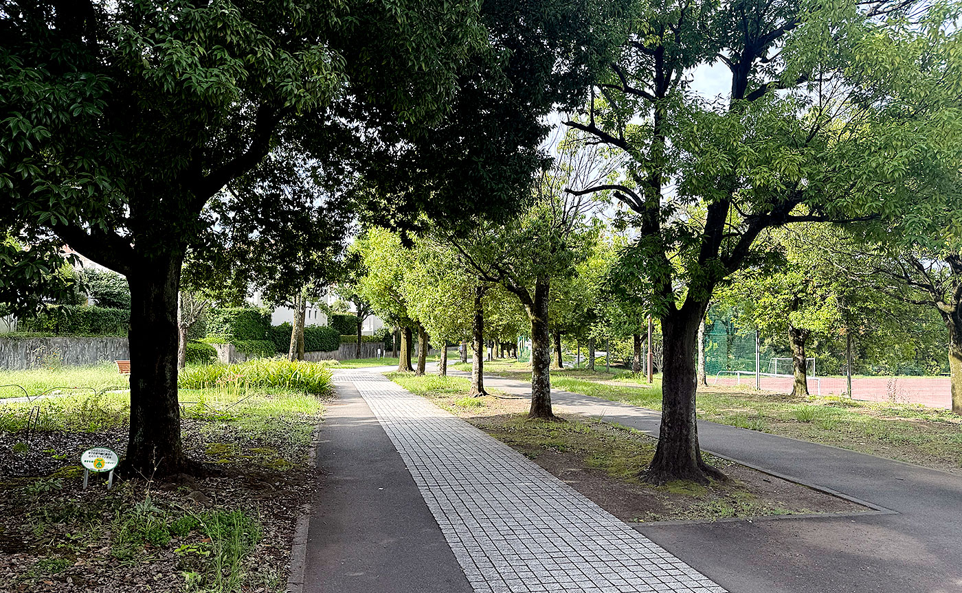 宝野公園