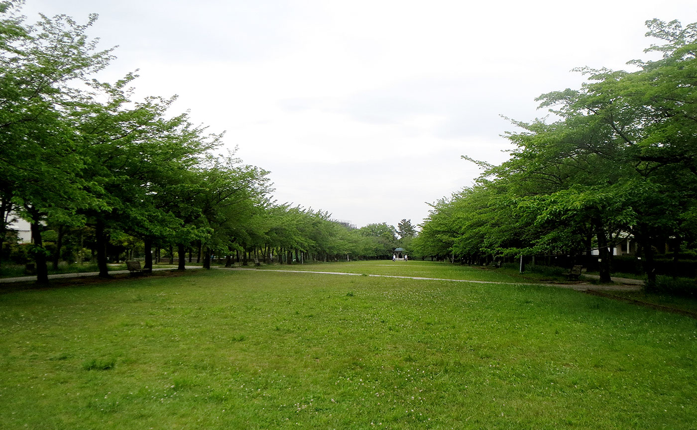 宝野公園