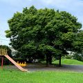 多摩市の公園