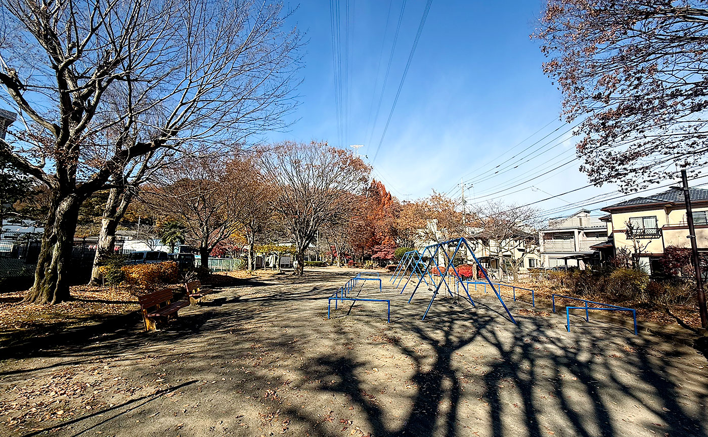 殿田中央公園