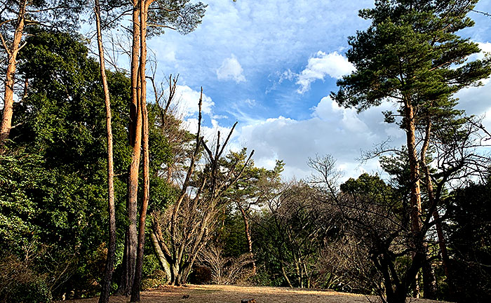 原峰公園