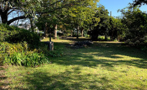 新宿区公園探訪