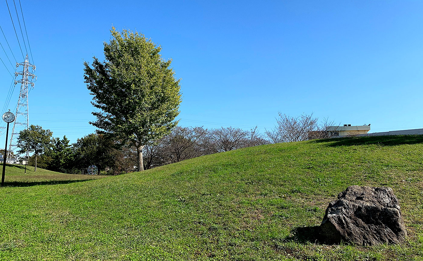 中和田橋公園