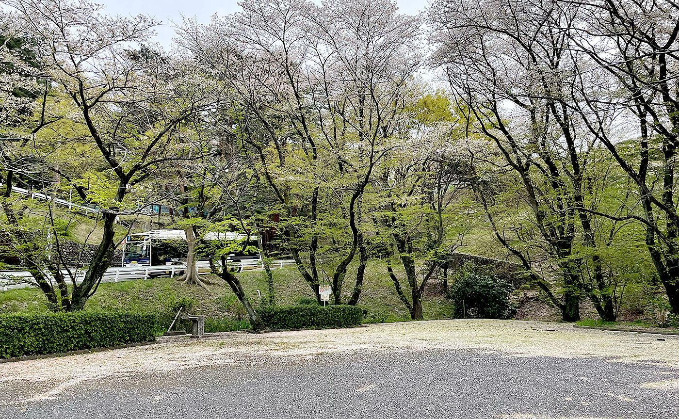 いろは坂桜公園