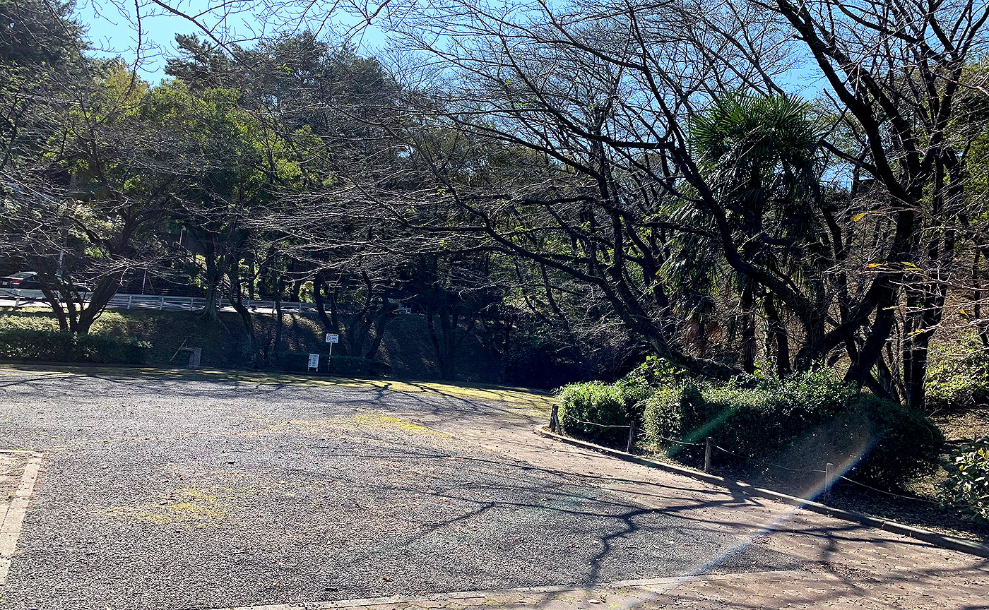 いろは坂桜公園