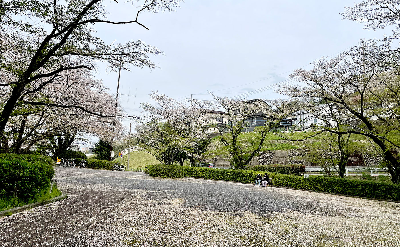 いろは坂桜公園