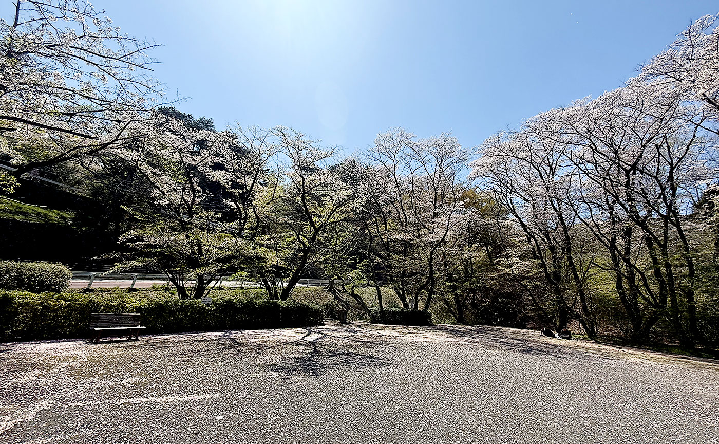 いろは坂桜公園