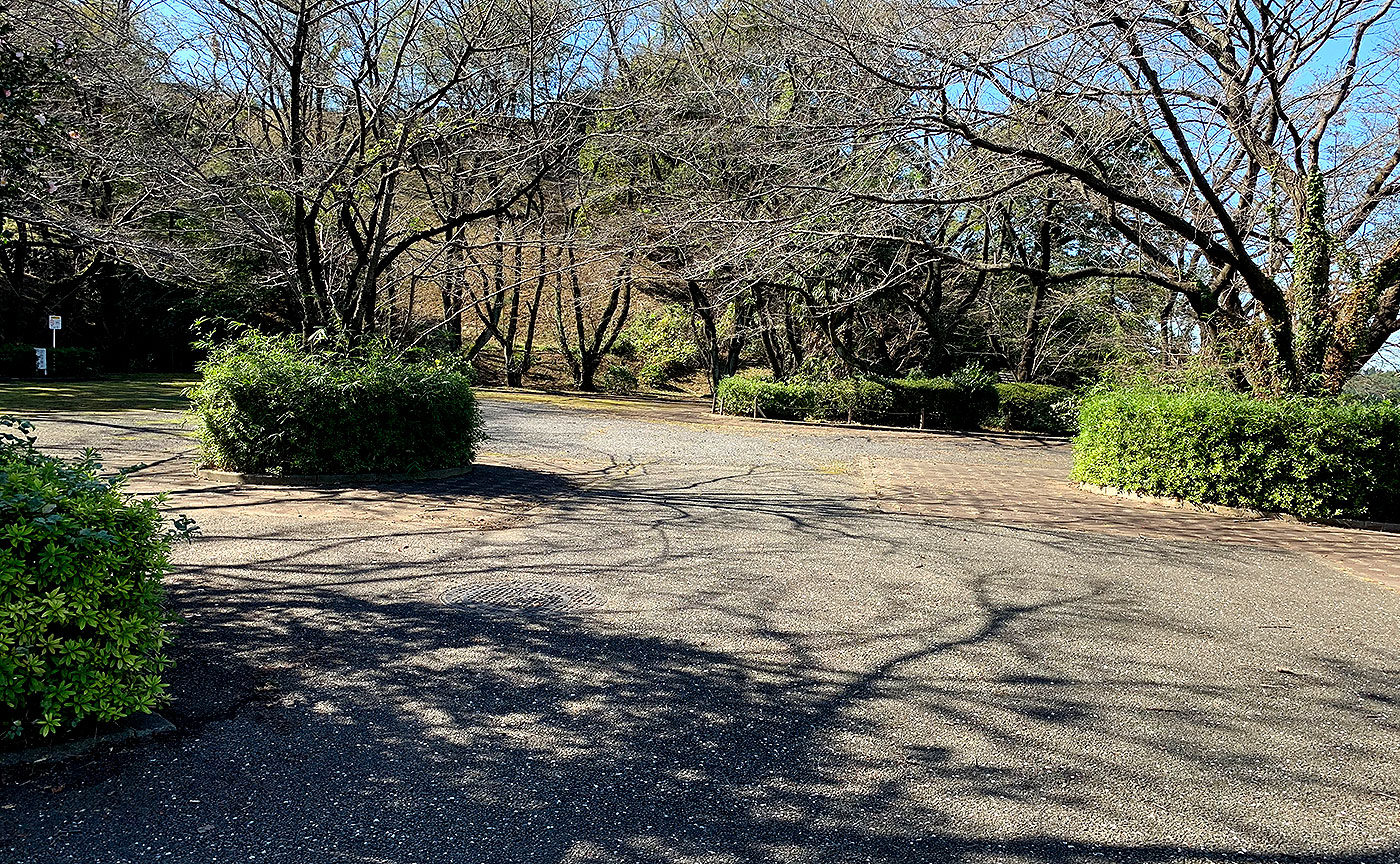 いろは坂桜公園