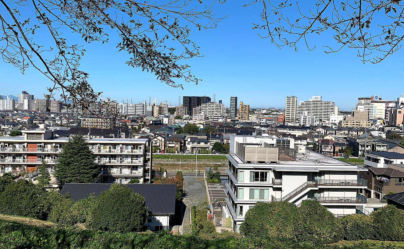 いろは坂桜公園