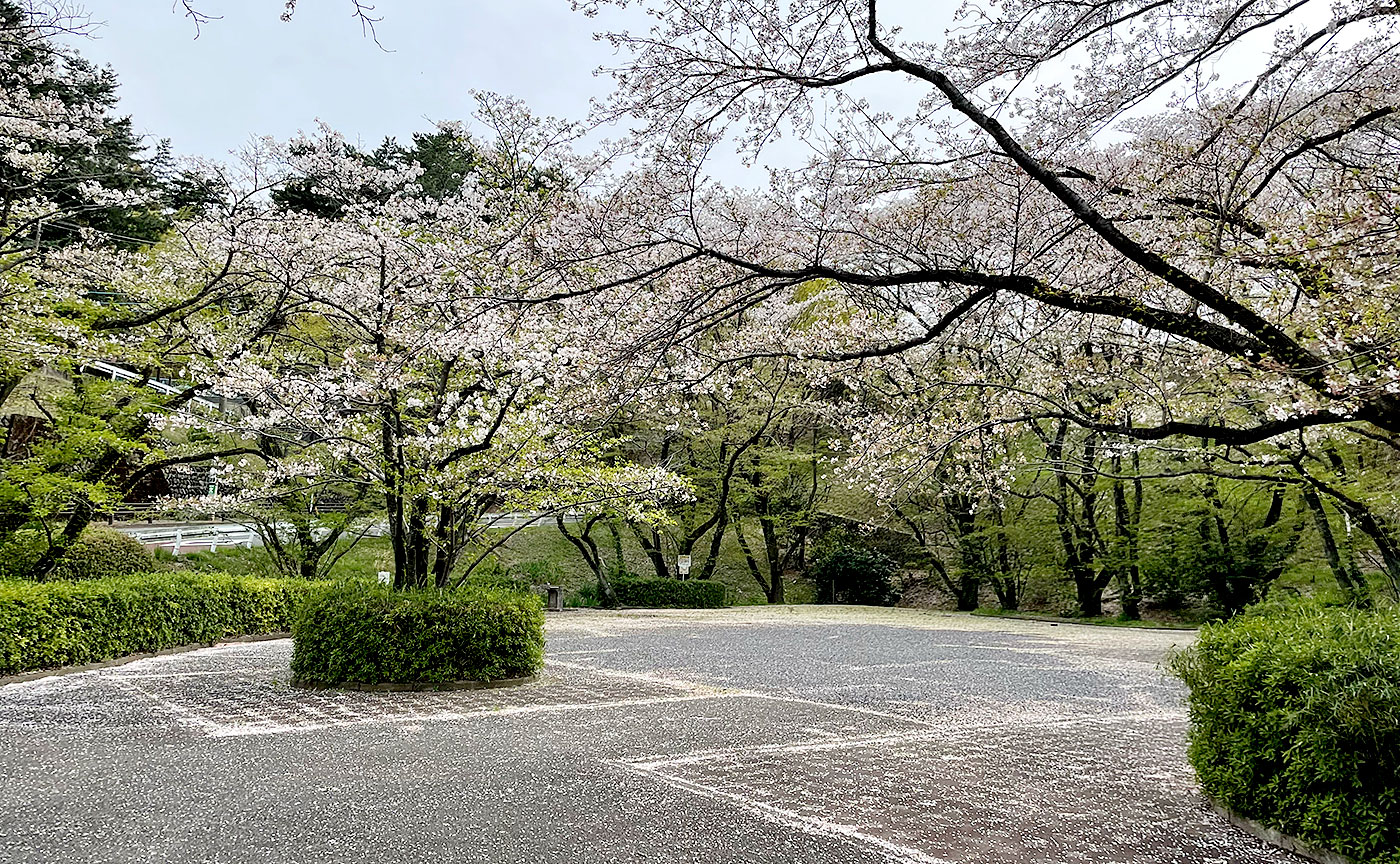 いろは坂桜公園