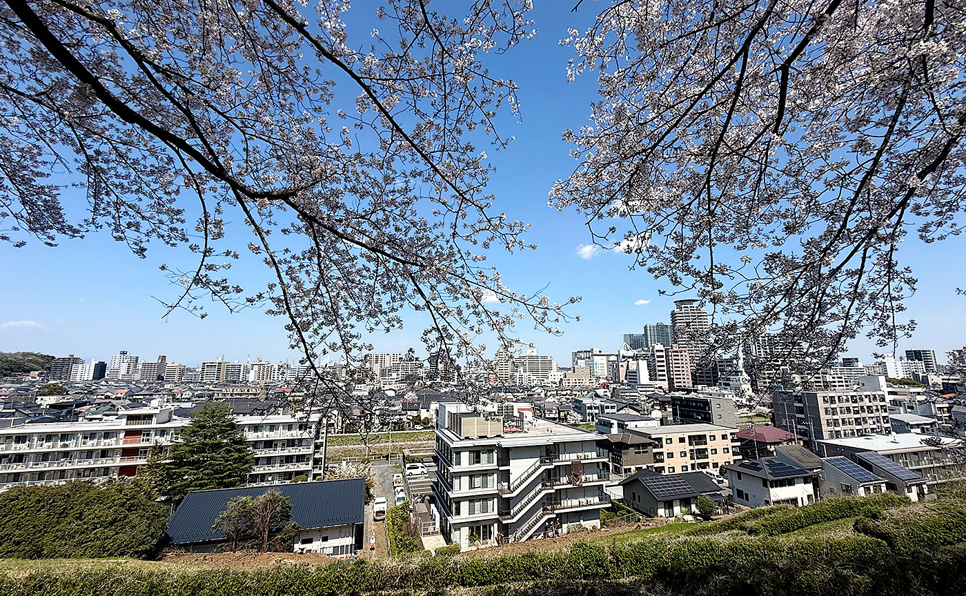 いろは坂桜公園