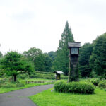 多摩市の公園
