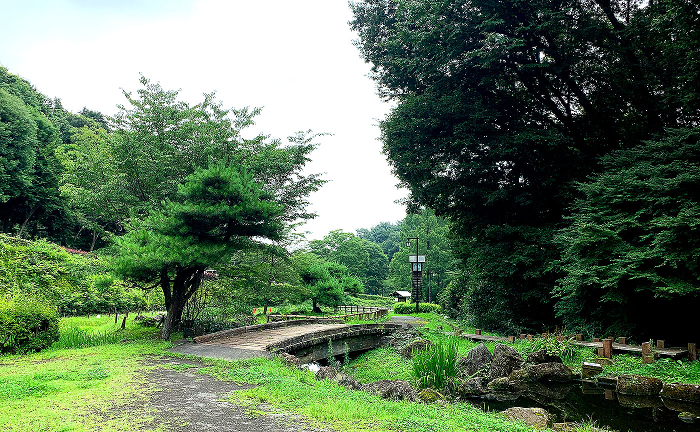 中沢池公園