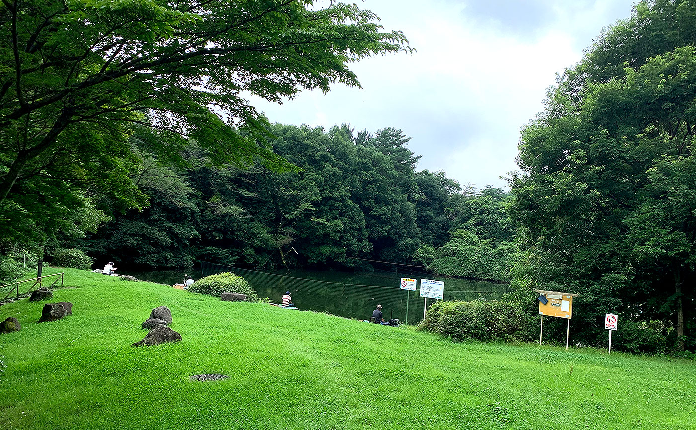 中沢池公園