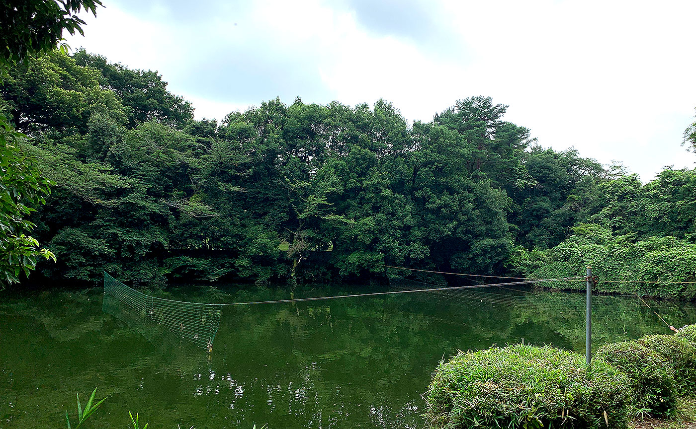 中沢池公園