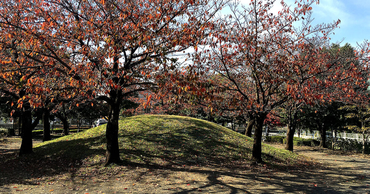 多摩市の公園