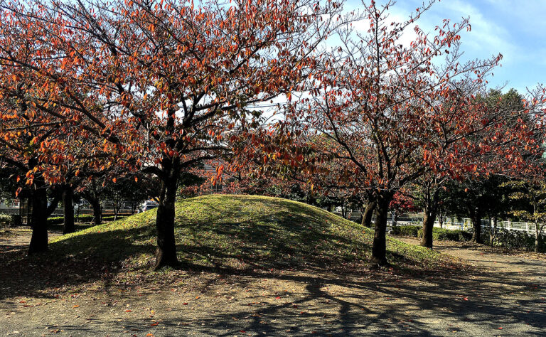 多摩市の公園