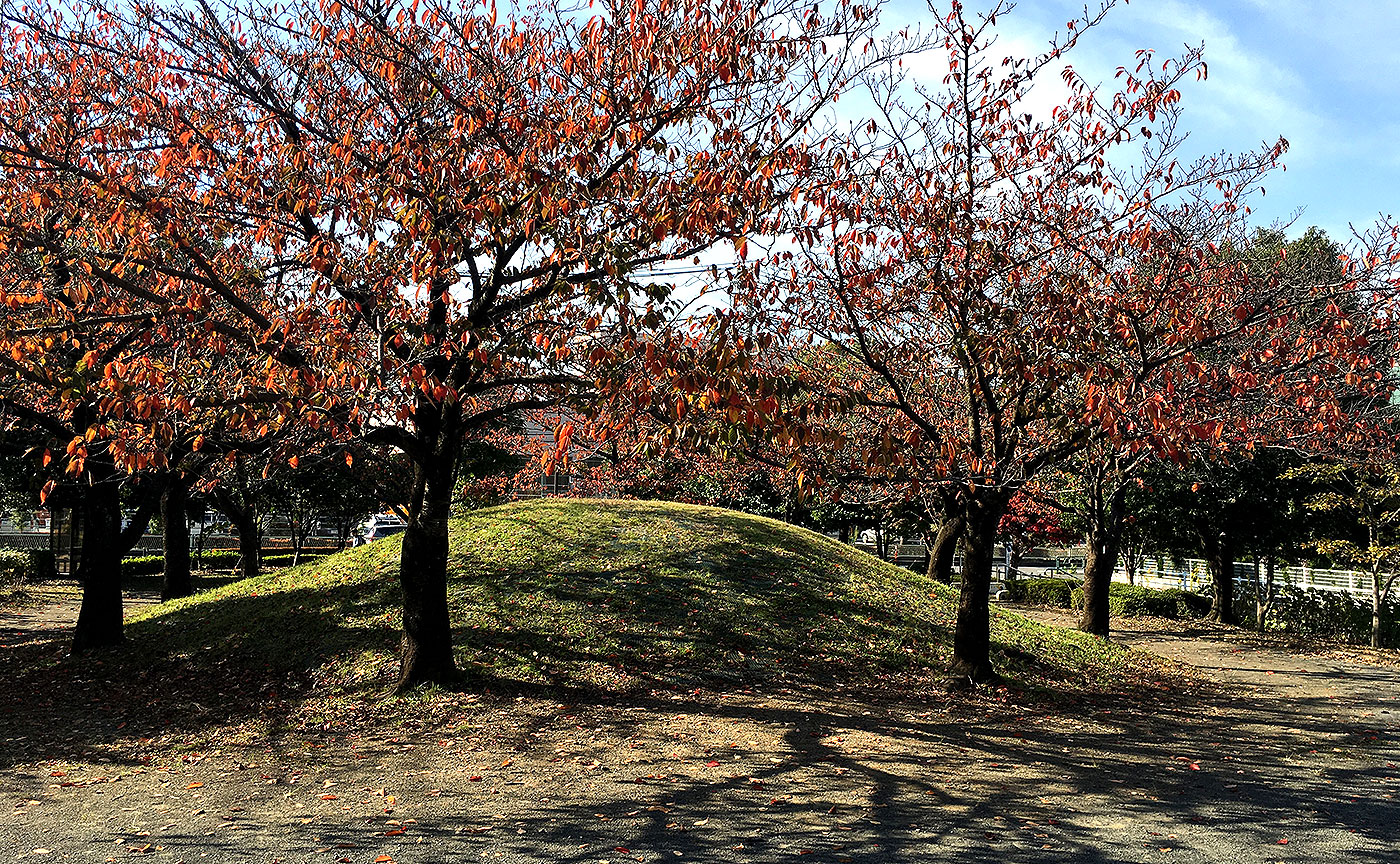 長坂公園