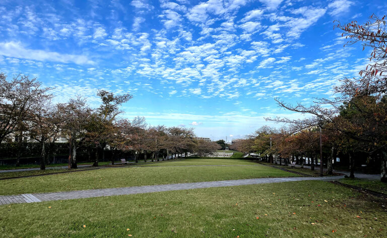 多摩市の公園