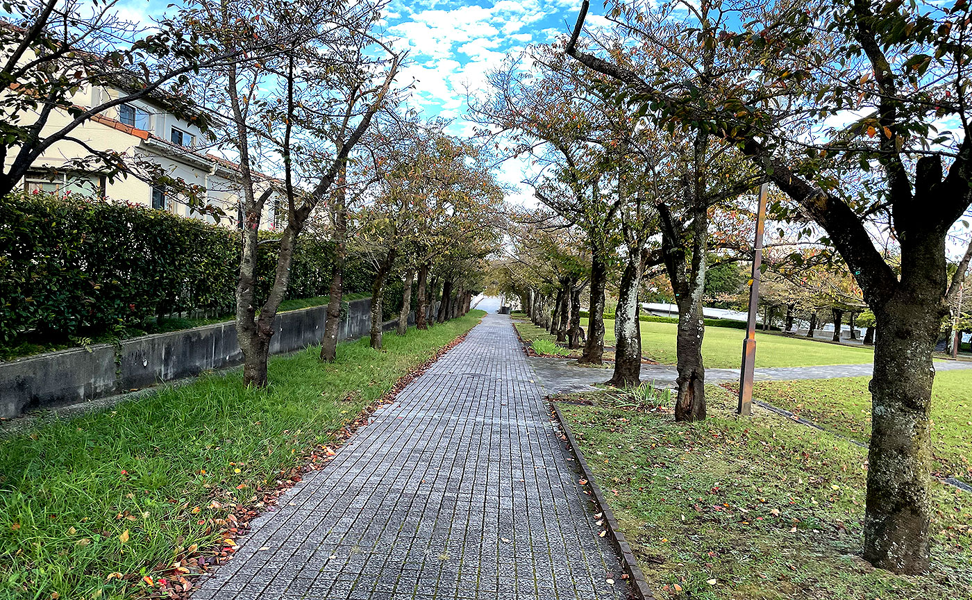 奈良原公園