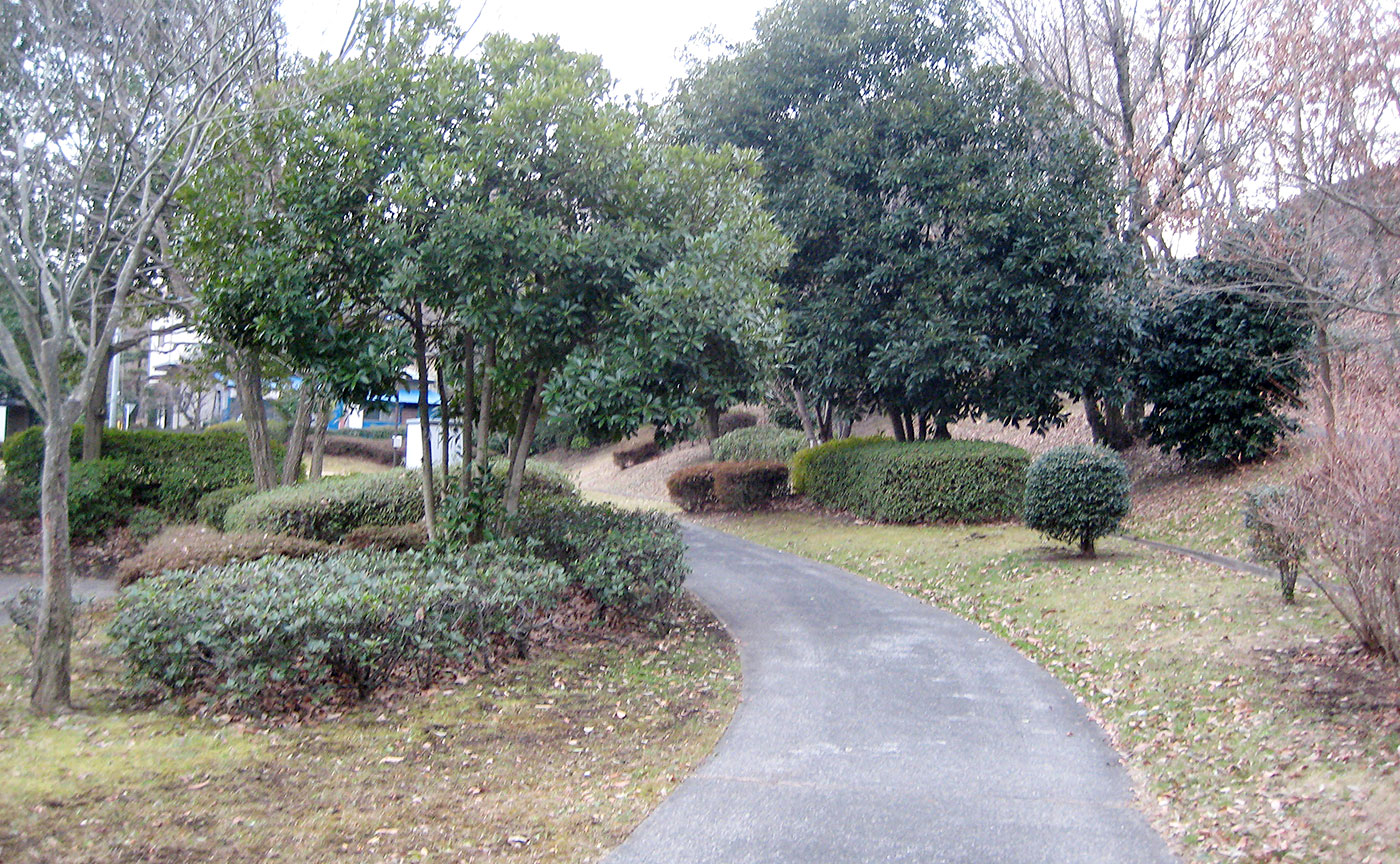青木葉公園