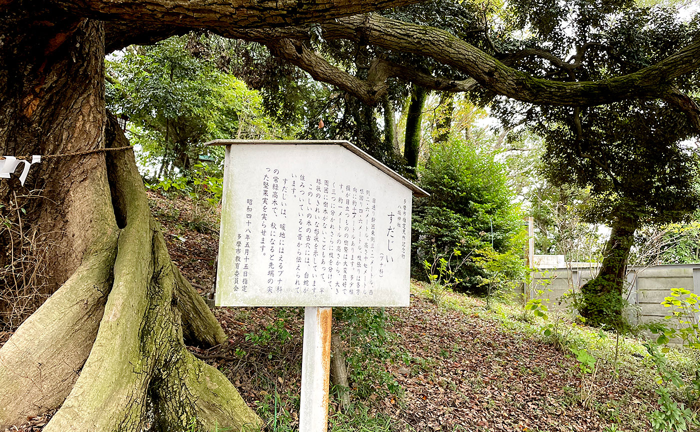 天王森公園