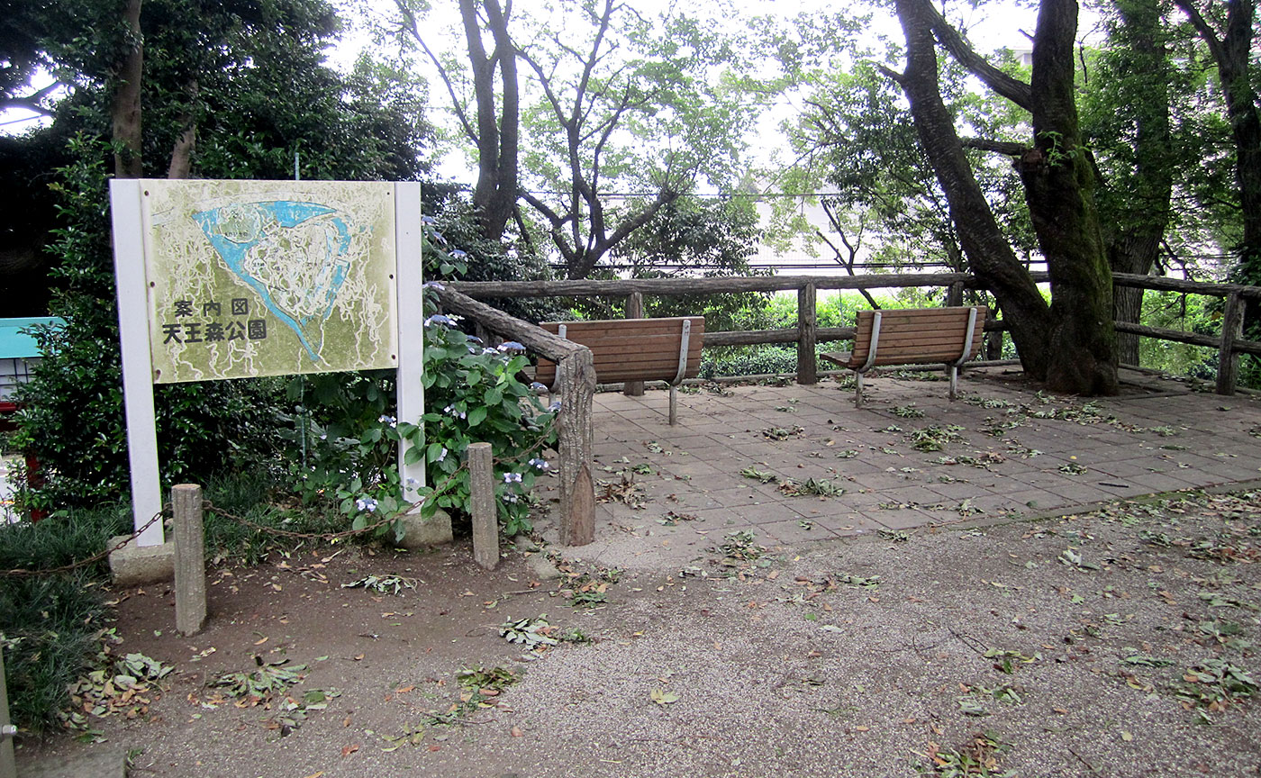 天王森公園