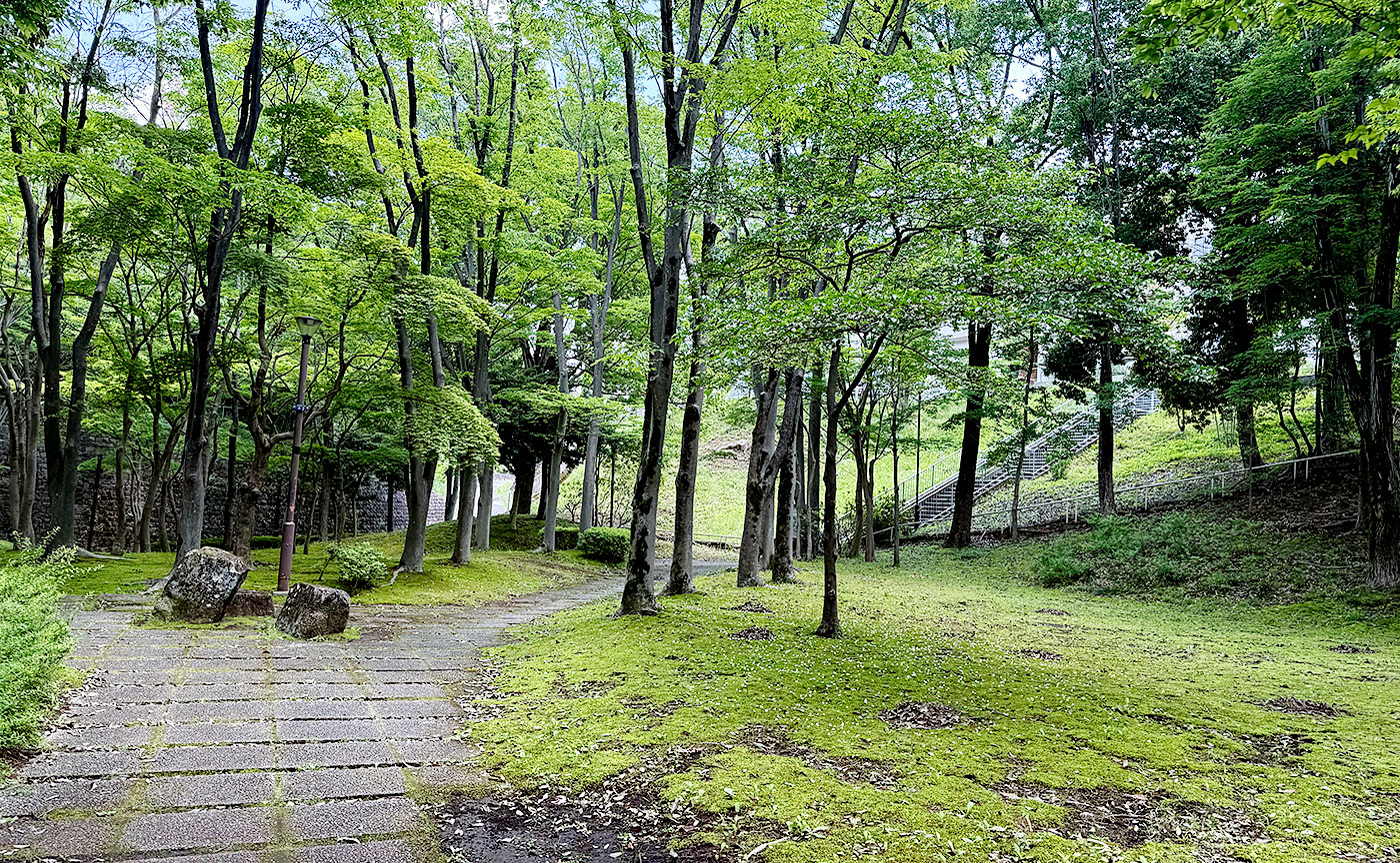豊ヶ丘第二公園