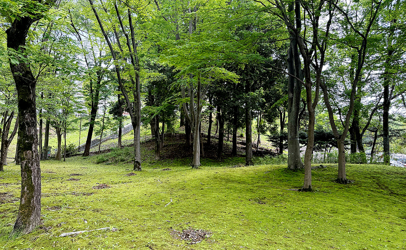 豊ヶ丘第二公園