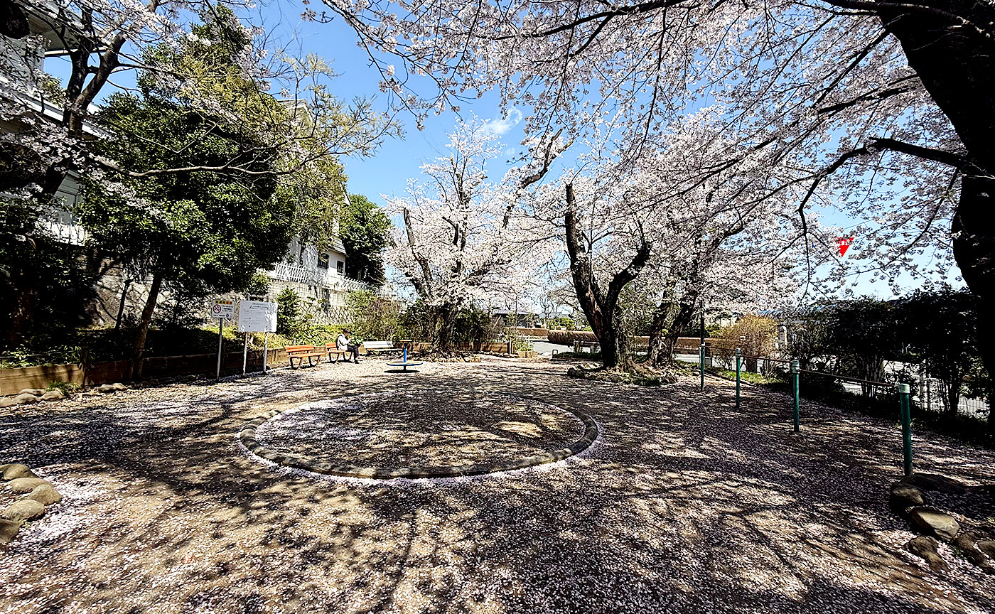さくら公園