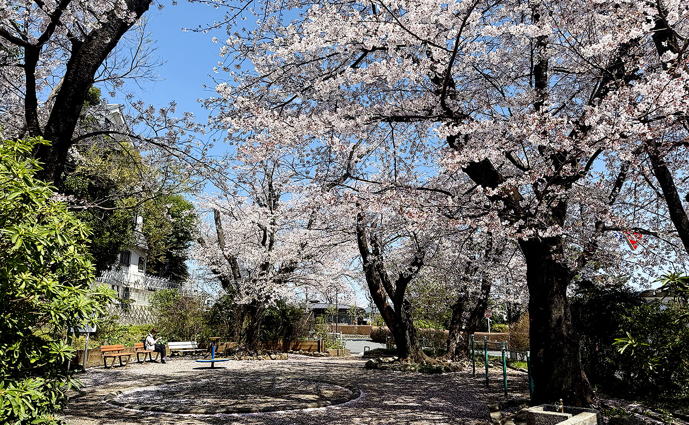 さくら公園
