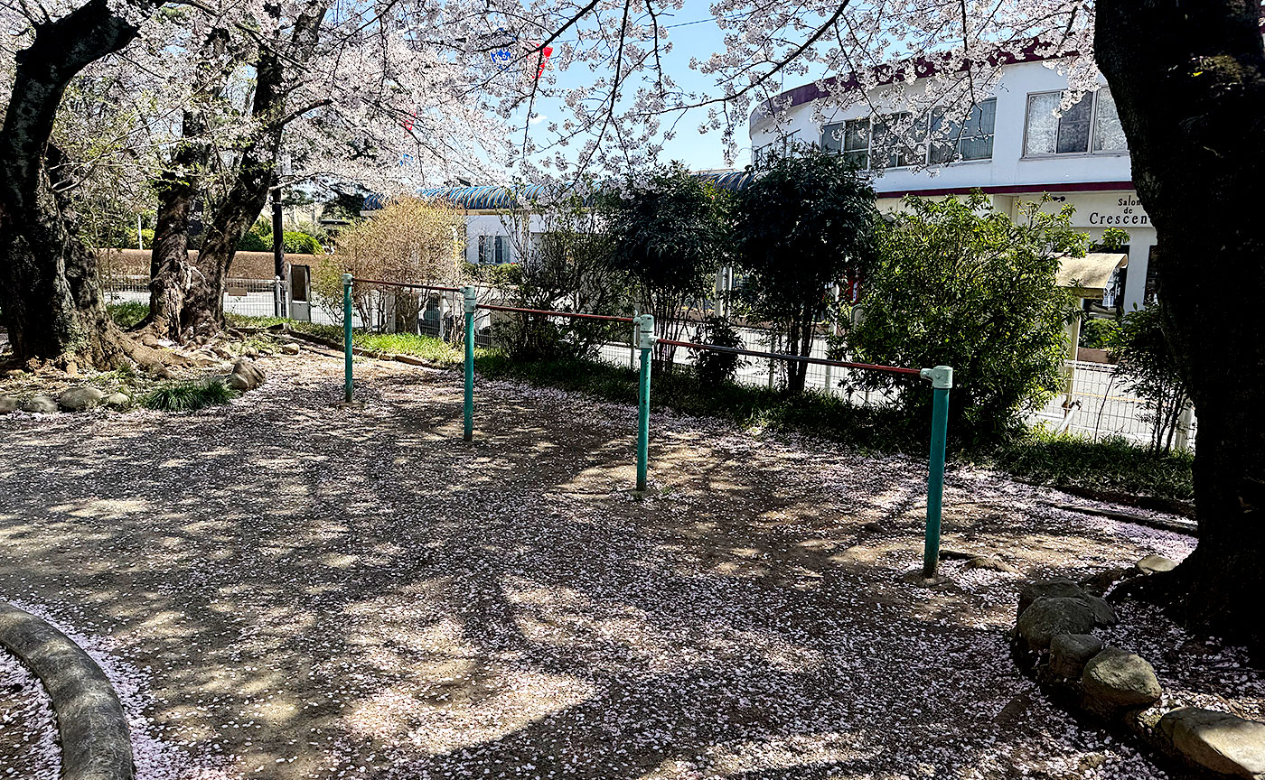 さくら公園