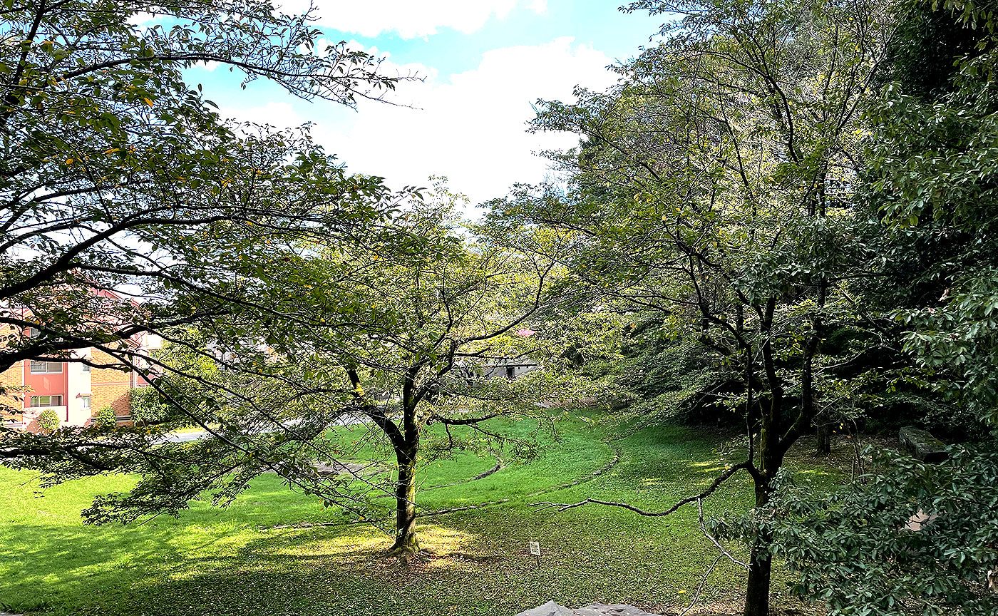 南大沢うずまき公園